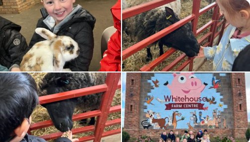 Receptions trip to Whitehouse Farm